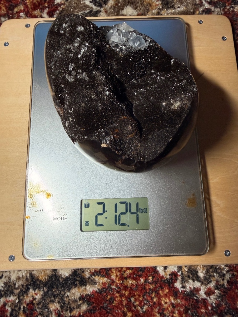 Septarian dragon egg